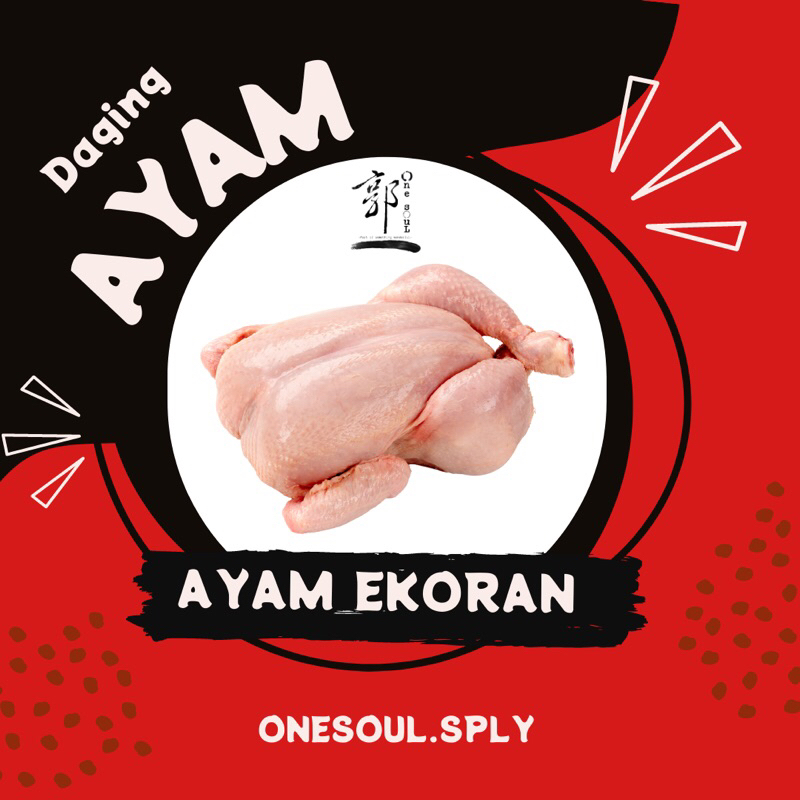 

Ayam Ekoran utuh FRESH