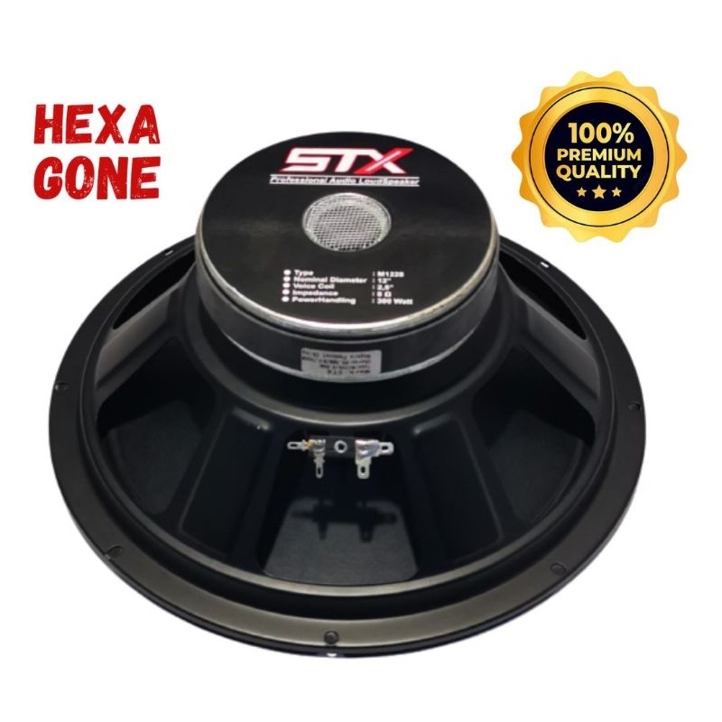 Speaker 12 inch woofer fullrange