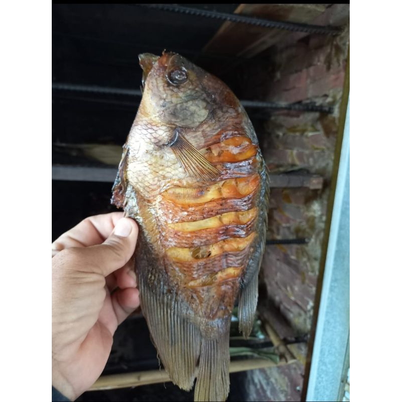 

ikan asap ( gurame )
