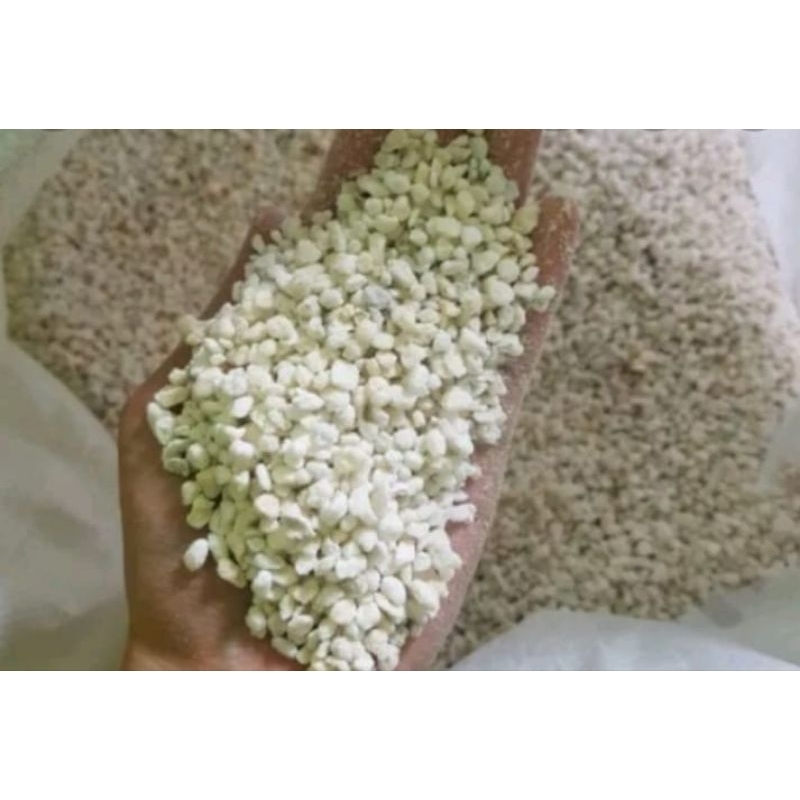 media perlite 250 gram untuk media tanam