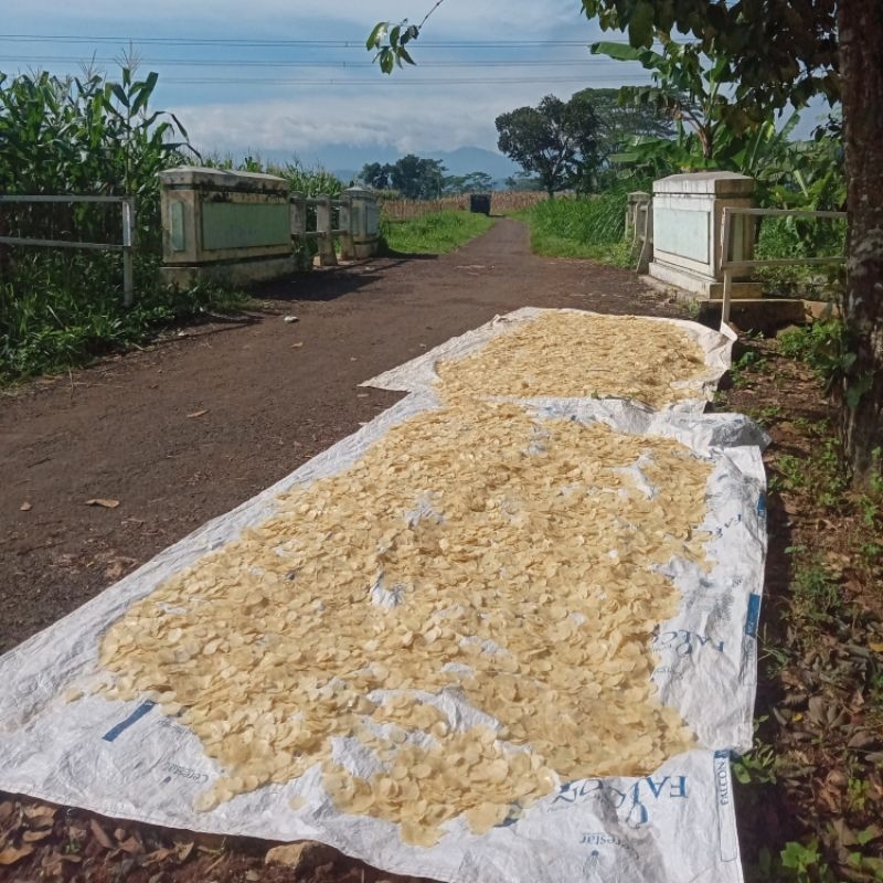 

Sekar_Shop07 Emping Melinjo 1 Kg Super Tipis Kering Asli Limpung Full Kering