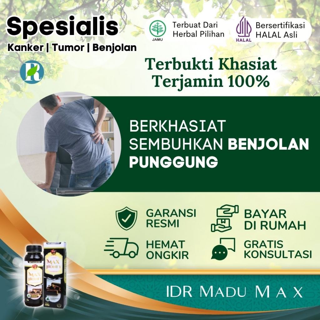 IDR Madu Max  Obat Benjolan Punggung   330 gram