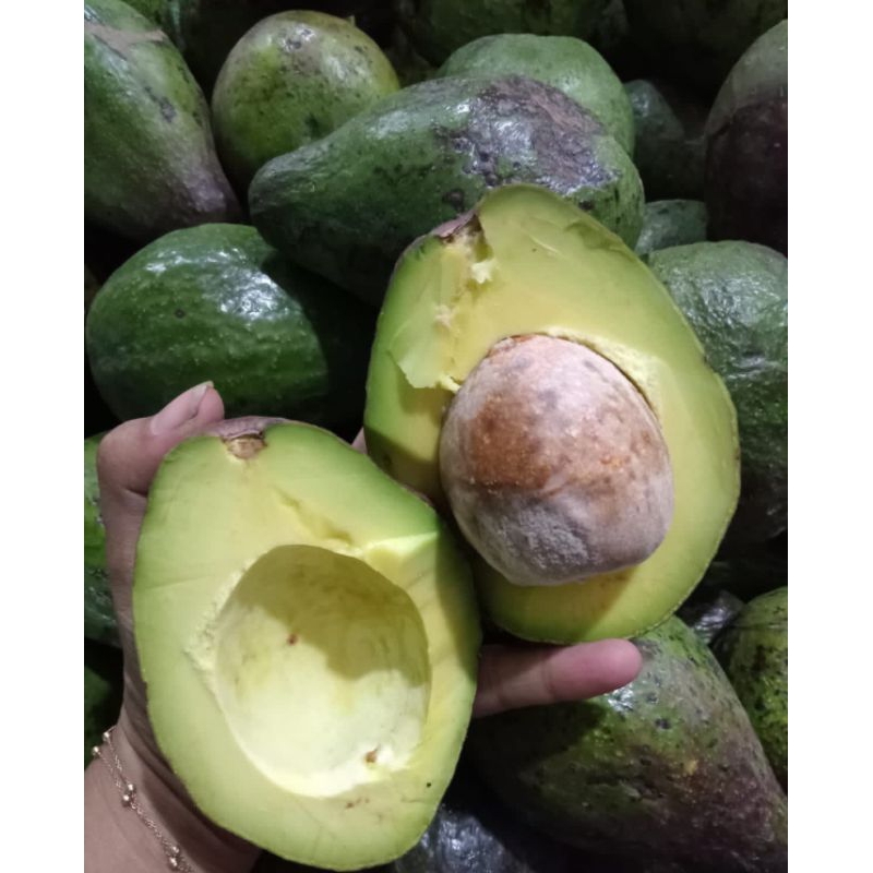 

alpukat mentega/Buahalpukat/alpukatmurah