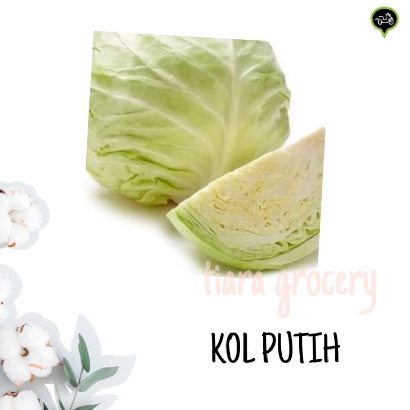 

Kol putih