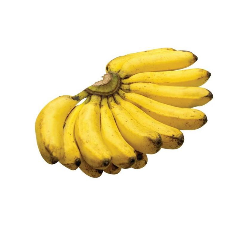 

pisang susu