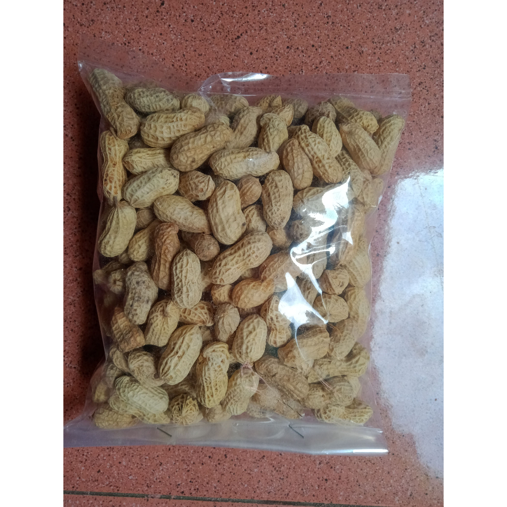 

Kacang Kulit Oven Asin Kiloan | Aneka Cemilan | Snack Tegal