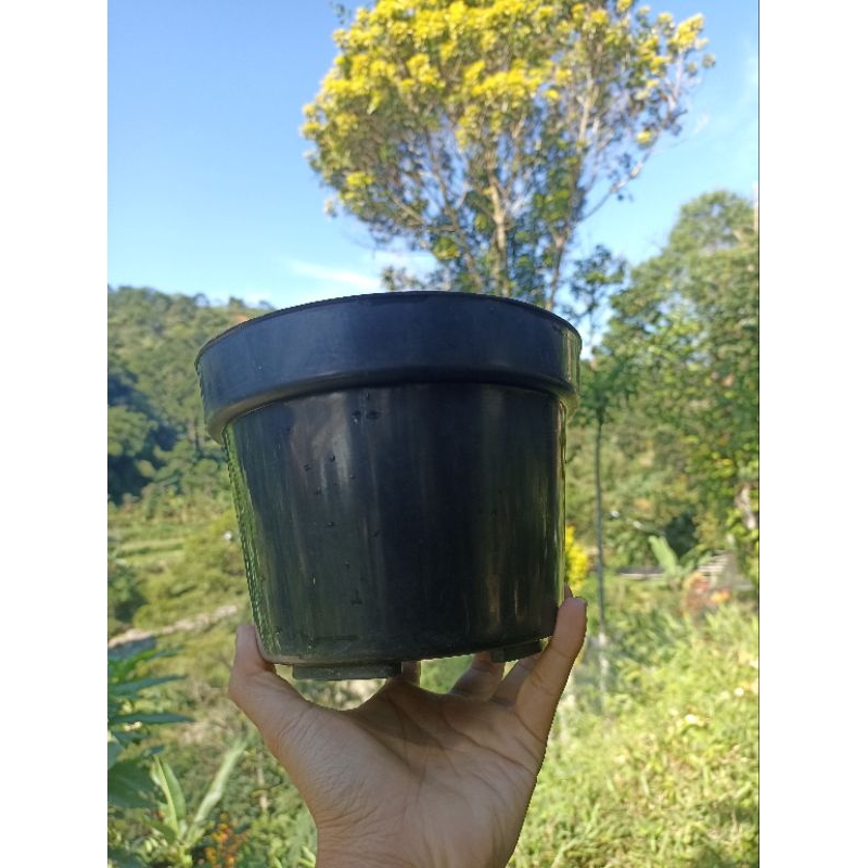 pot plastik tanaman hias 20 cm
