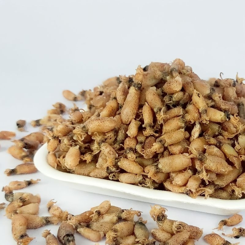 

Baby Cumi Premium Medan 1kg