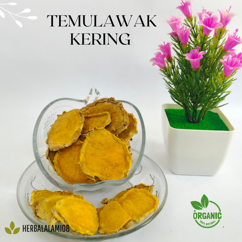 

TEMULAWAK RAJANG KERING