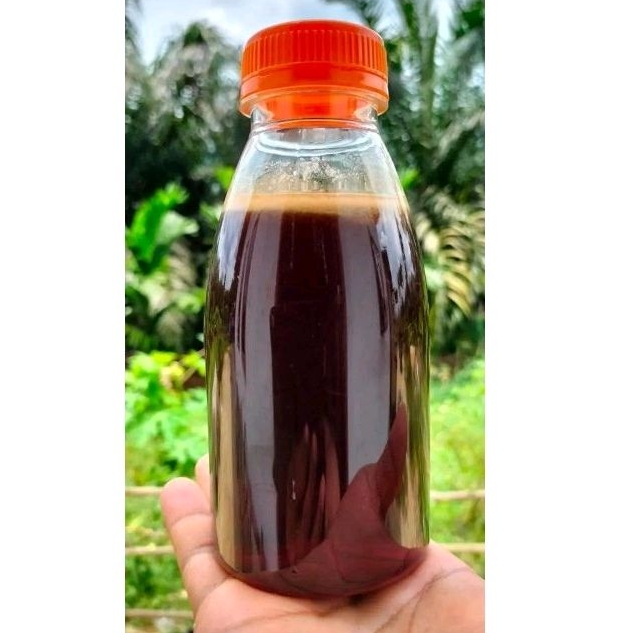 

MADU ASLI MADU MURNI MADU HUTAN