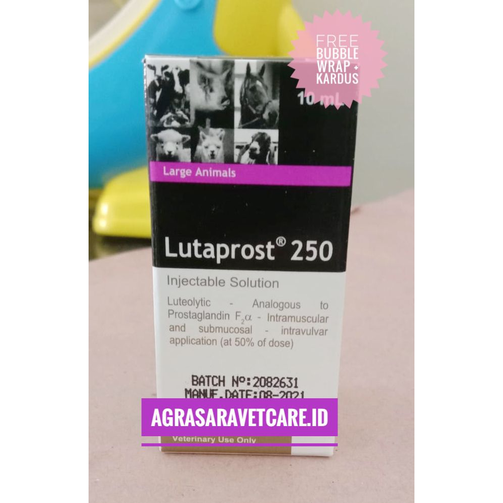 LUTAPROST 250 (PGF2@) 10 ml