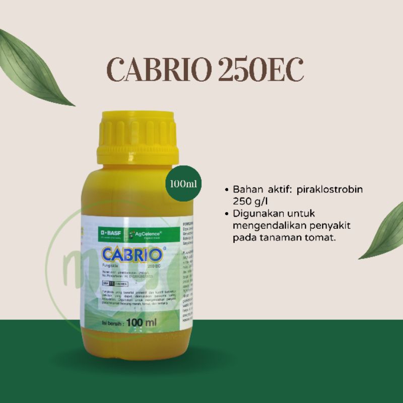 CABRIO 250EC 100ML