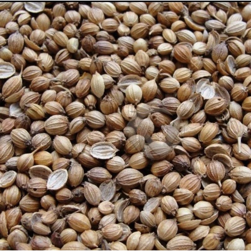 

bijih ketumbar 100gr