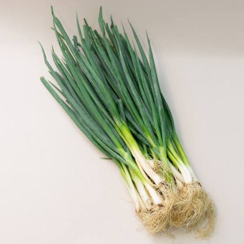 

DAUN BAWANG / SAYUR SEGAR SURABAYA