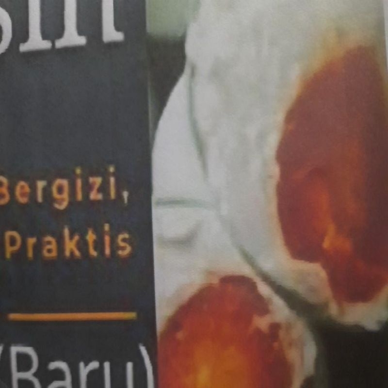 

telur asin