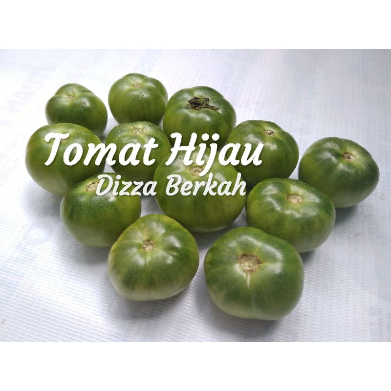 

Tomat Sayur/Tomat Ijo/250gr/pilihan/Fresh/Bagus/Murah/Dizza Berkah