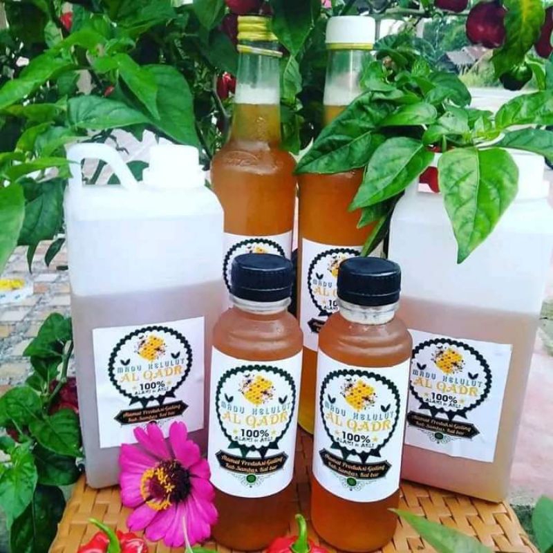 

Madu Kelulut klanceng Al Qadr Asli 1 kg