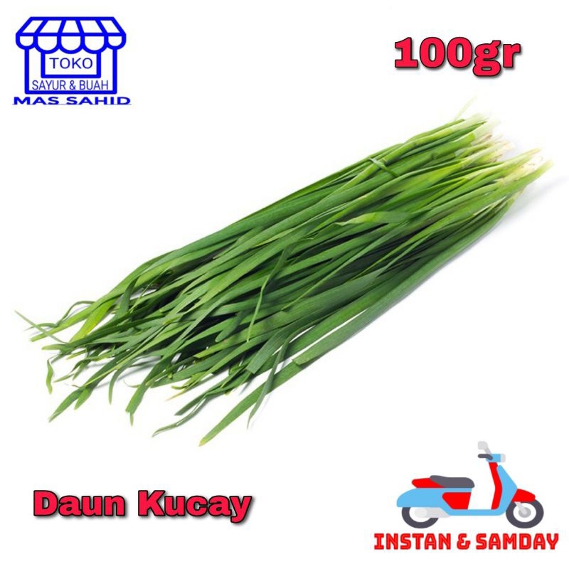 

Daun Kucay/Kucai Fres 100 Gram