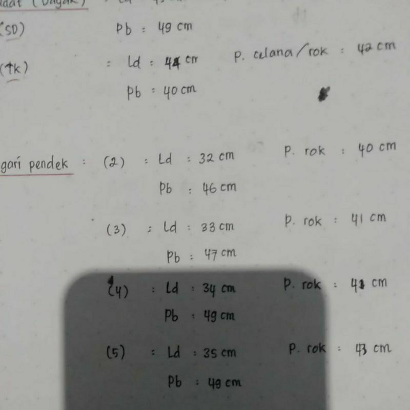 DISKON BAJU KARNAVAL PROFESI PRAMUGARI ANAK LENGAN PANJANG ROK PENDEK