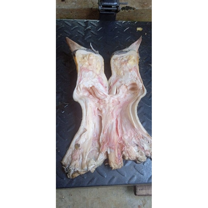 

kikil sapi lokal lepas tulang 1kg