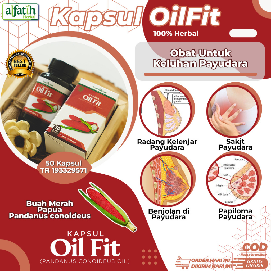 Obat Abses Payudara Benjolan Payudara Bengkak Payudara Mastitis Payudara Infeksi Payudara Bengkak Bi