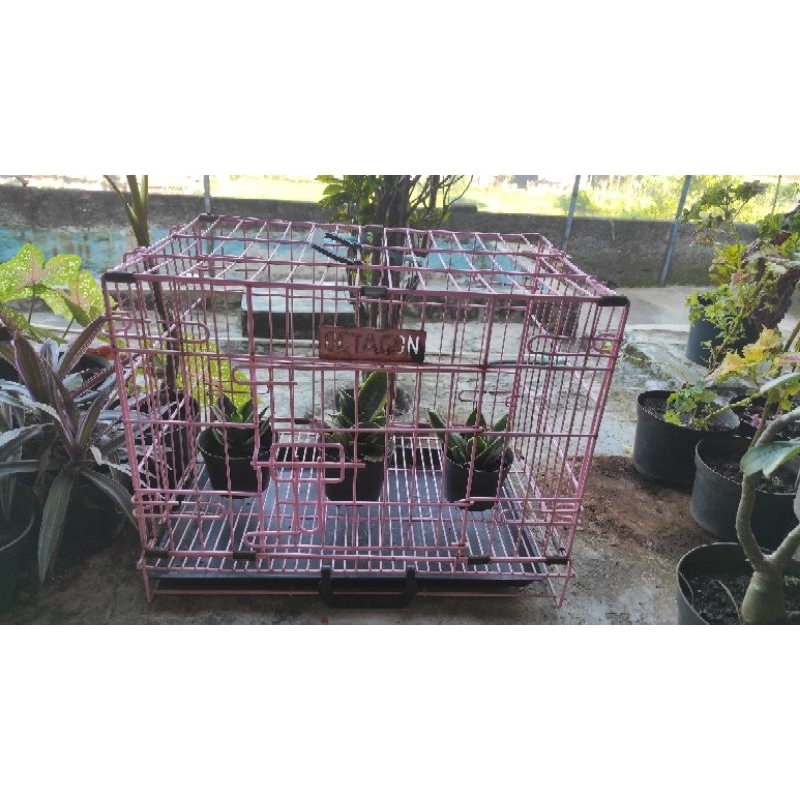 kandang kucing octagon second