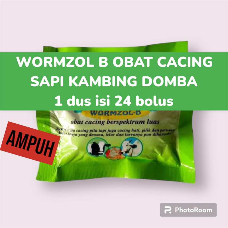 WORMZOL B 24 BOLUS (1box) - Obat hewan obat Cacing Cacingan Sapi Kerbau Kuda Kurus obat cacing kambi