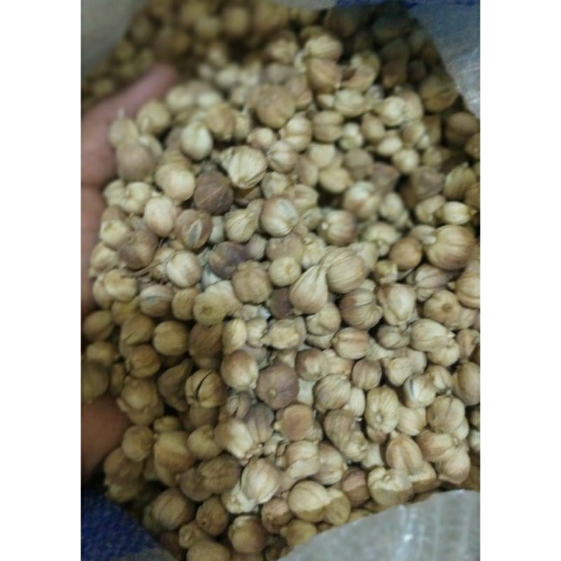 

kapulaga kering 100gr / 250gr