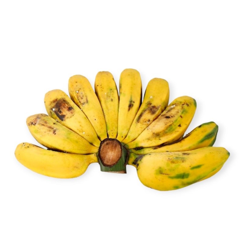 

pisang kepok 1 sisir