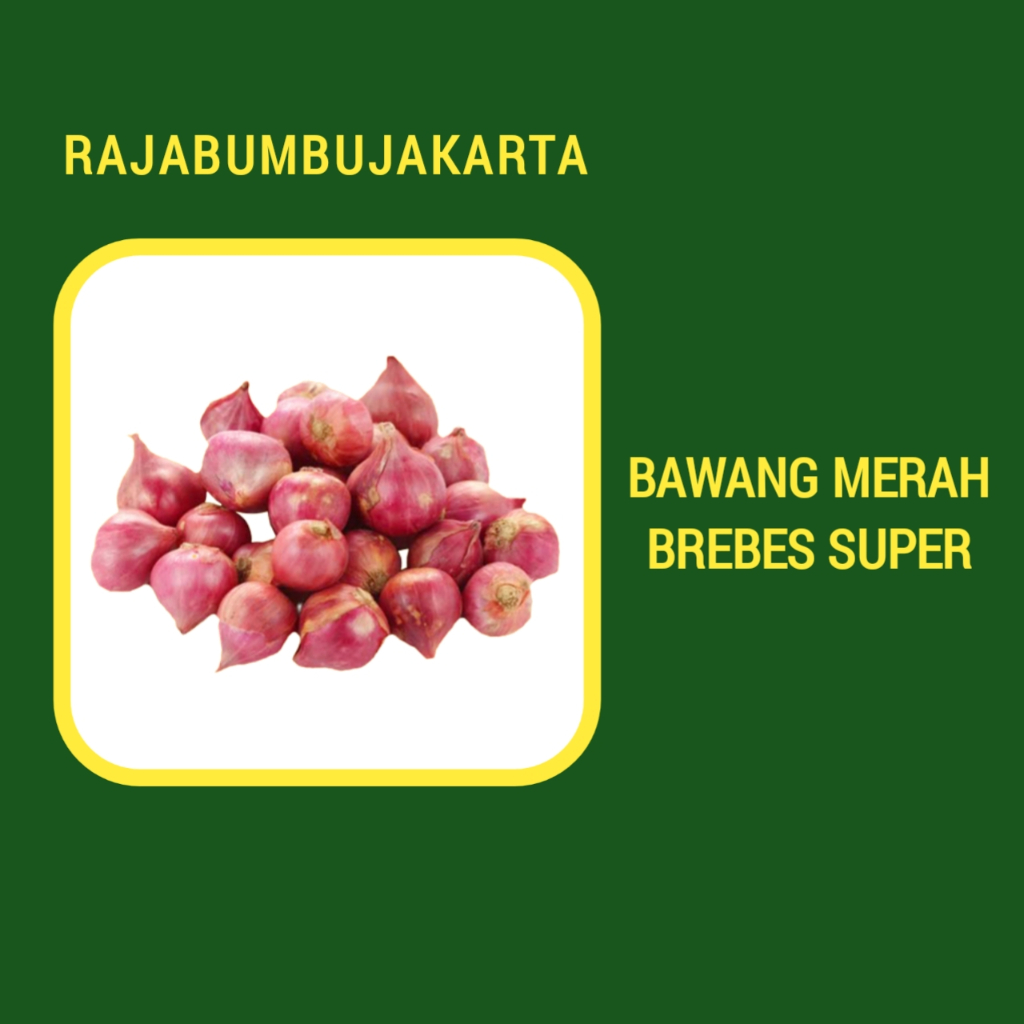 

Bawang Merah Brebes Super Ukuran Besar Kwalitas Terbaik Pilihan