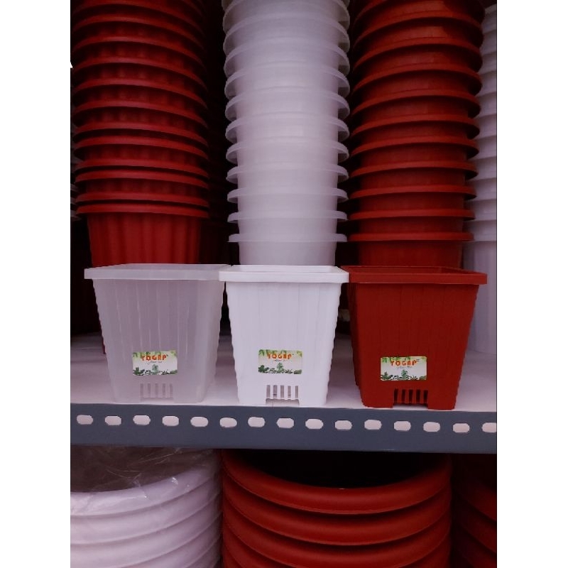 Pot Yogap Kotak 12 Pot Tinggi kotak GROSIR