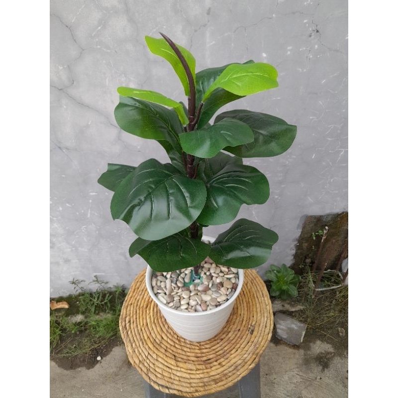 TANAMAN ARTIFICIAL KETAPANG D15(sudah termasuk pot)