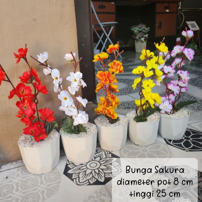 Bunga Sakura + Pot