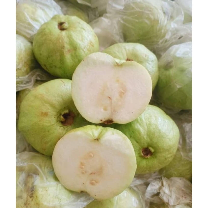 

Buah Jambu Kristal