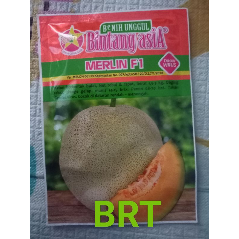 Benih melon rock melon merlin f1 20gr bintang asia