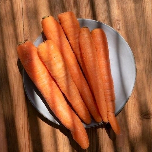 

[ MURAH ] - Wortel Buah Import