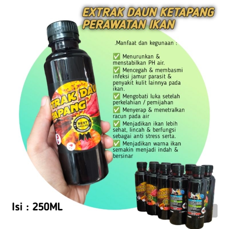 Air extra ketapang / ikan cana / ikan cupang / perawatan
