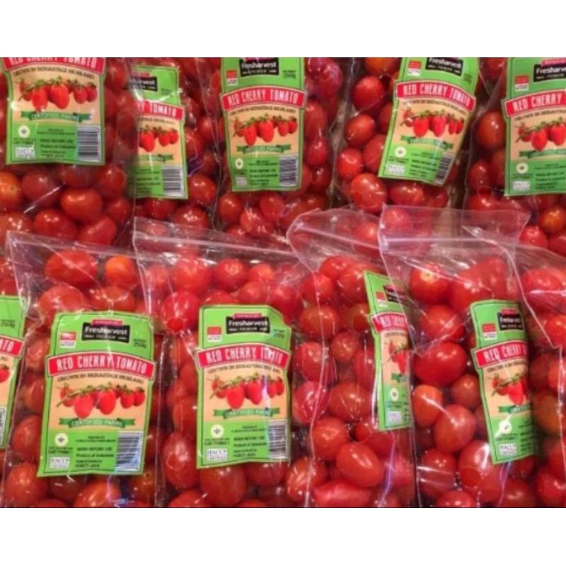 

Tomat cherry segar 1 bungkus