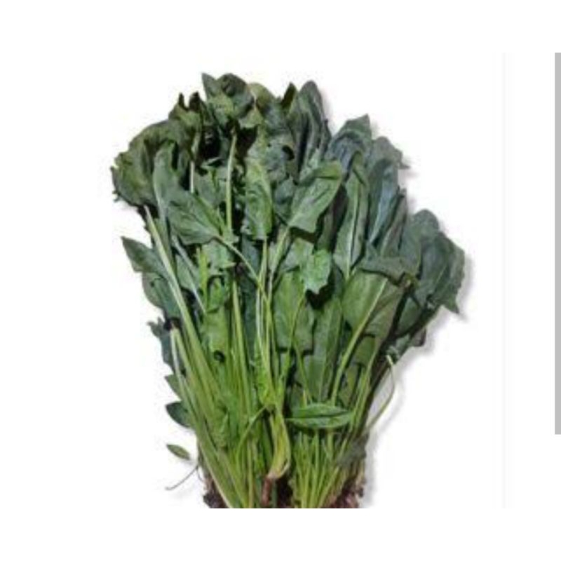 

sayur FRESH pocai horenzo poling dikirim dari waru Sidoarjo Surabaya