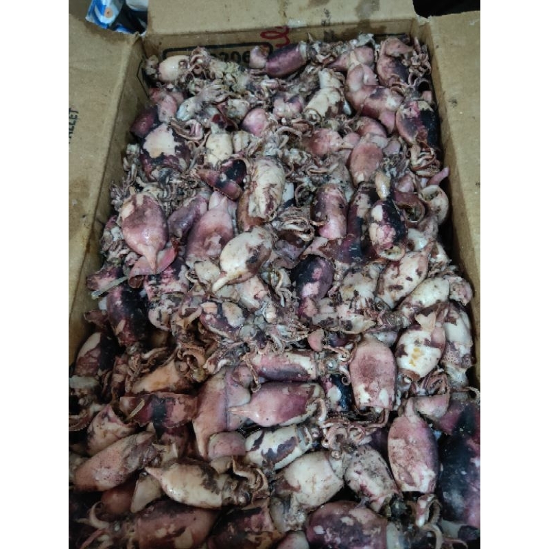 

Cumi Rebus / Sotong Murah kemasan Hemat 100grm