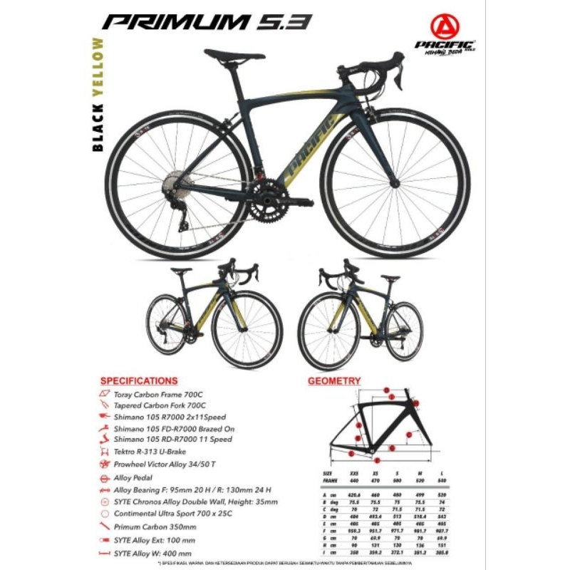 road bike RB Pacific Primum carbon 5.3
