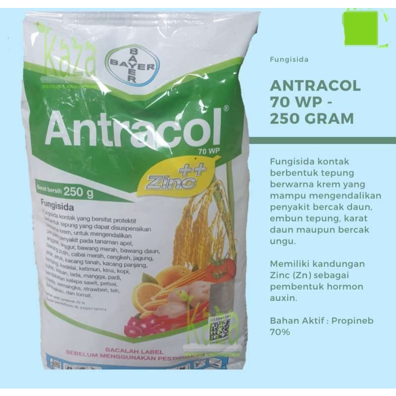 Fungisida ANTRACOL 250 gr