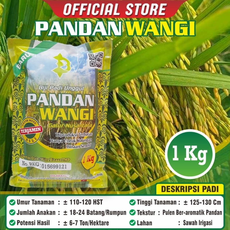 Padi Unggul Pandan Wangi / Padi Super Pandan Wangi / Padi Pandan Wangi Kemasan Premium / Biji Padi K