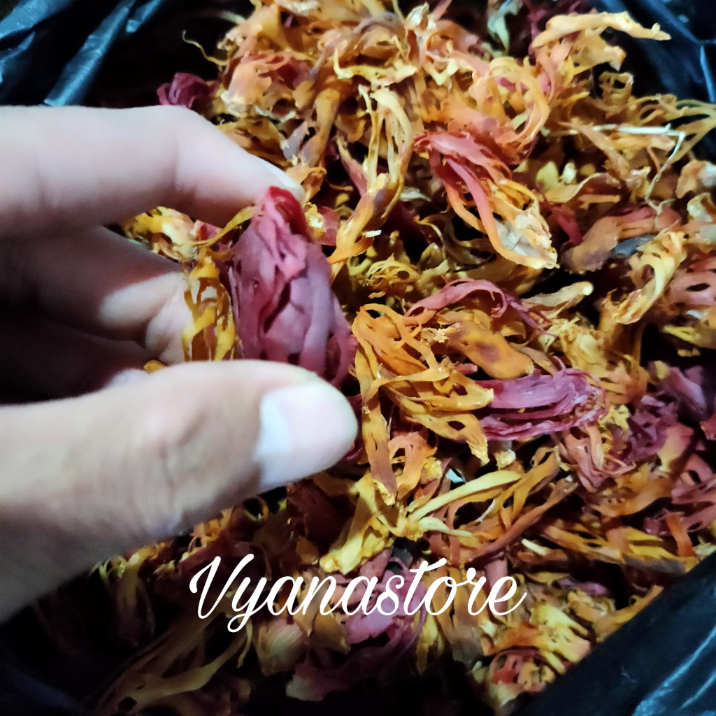 

Bunga Pala Kering 100 gr - Fuli - Sempra Pala Kering
