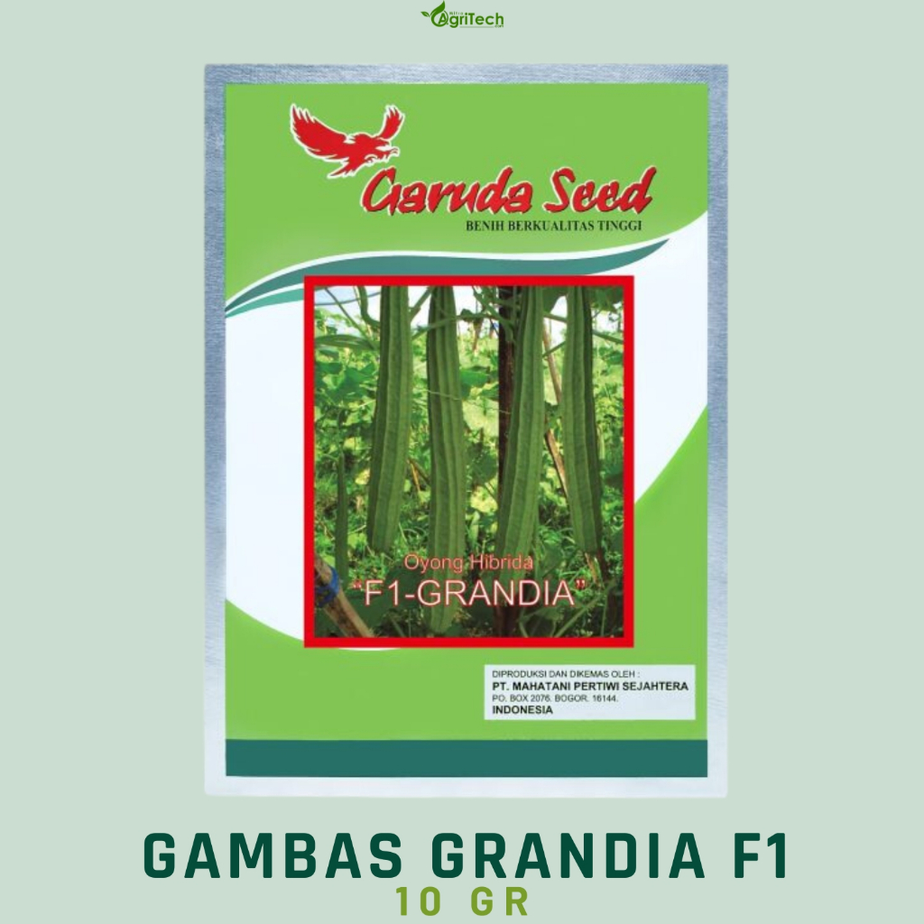 BENIH BIBIT OYONG HIBRIDA F1 GRANDIA 10 GR GARUDA SEED