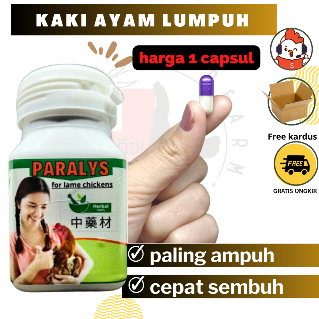 TERAMPUH OBAT AYAM LUMPUH SENDI PER 1 CAPSUL ZEORFARM
