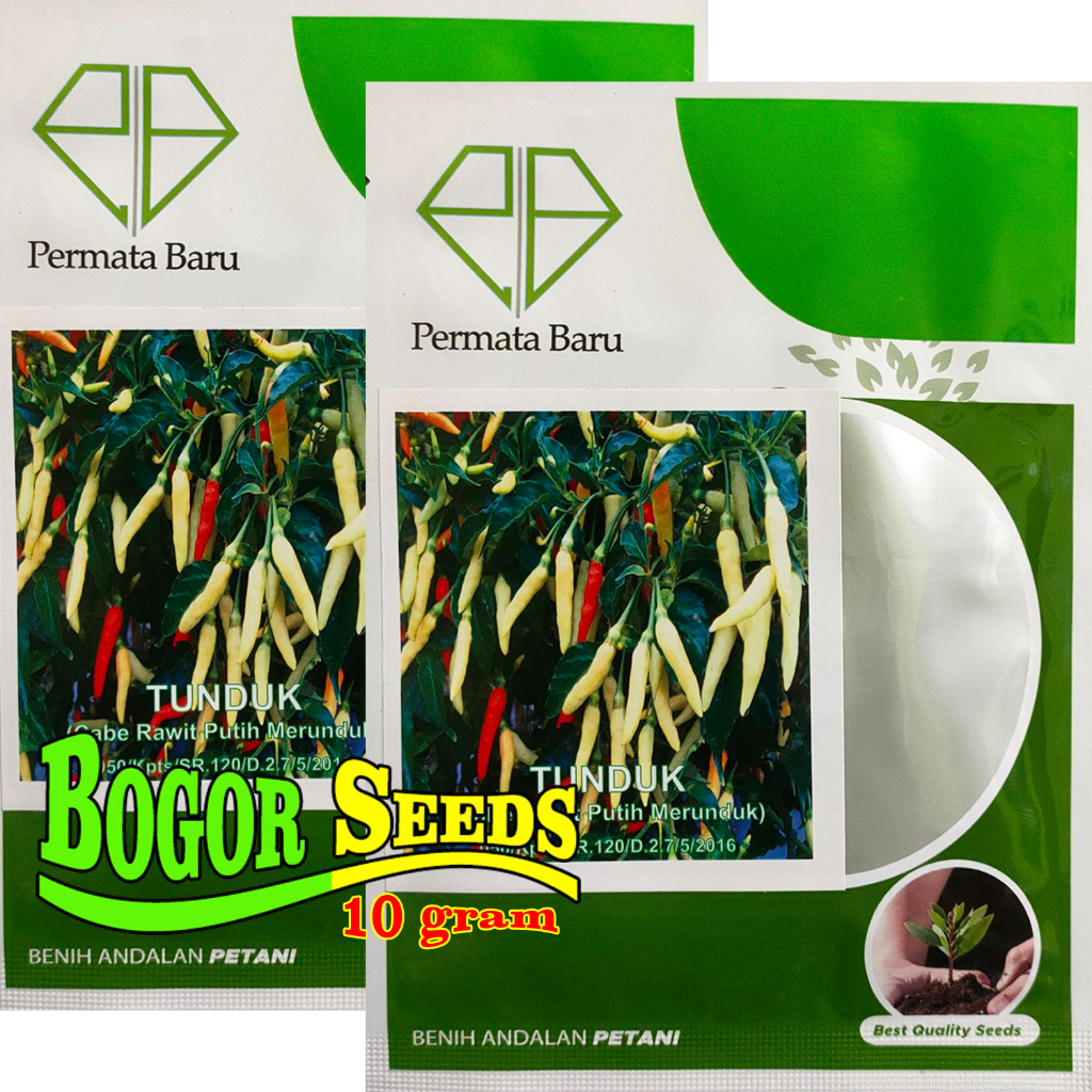 CABE RAWIT = bibit cabe rawit putih tunduk 10gram | benih cabe rawit unggulan