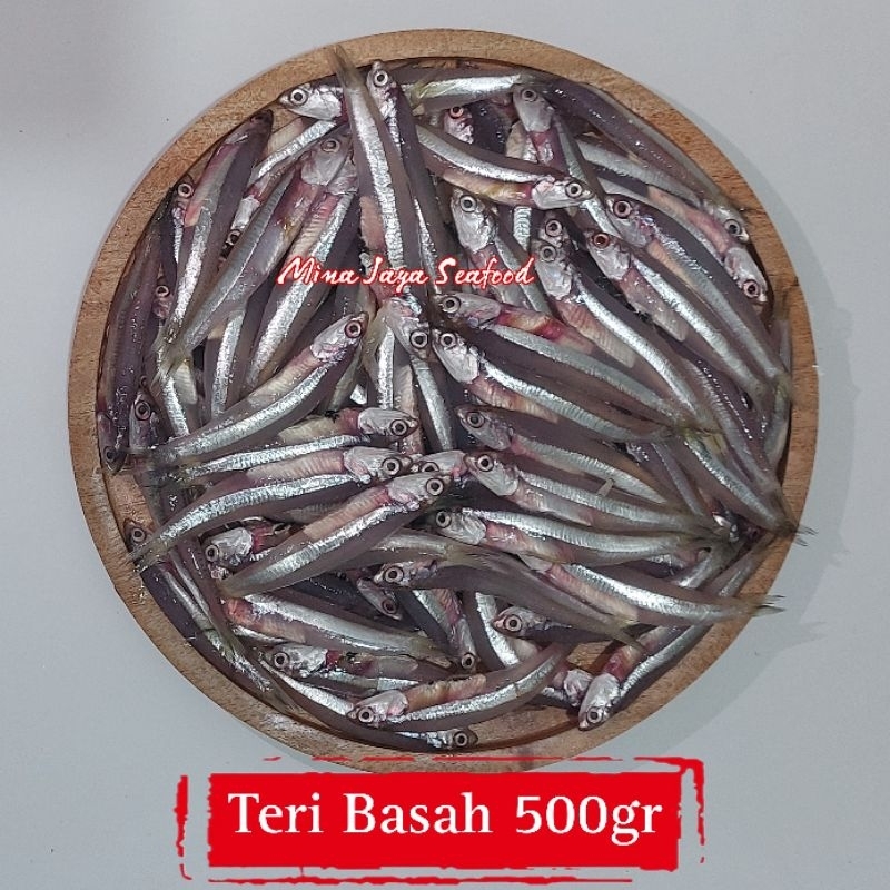 

Ikan Teri Basah 500 Gram / Teri Galer