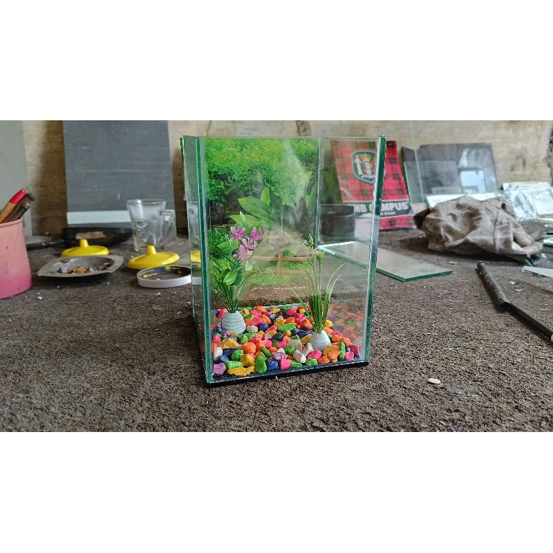 Aquarium mini kubus aquarium murah ukuran 15x15x20 plus background gambar batu tanaman sintetis