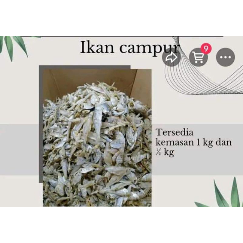 

Ikan asin campur